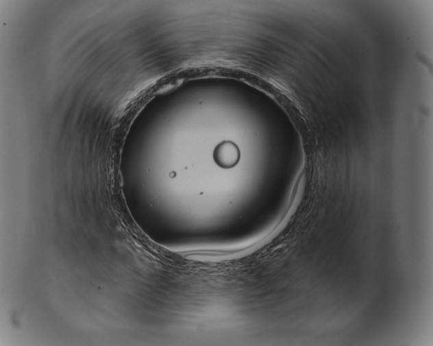 X0000101210872200807111031