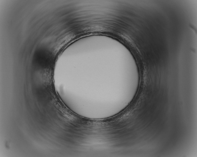 X0000101210873200807111031