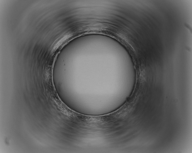 X0000101210874200807111031