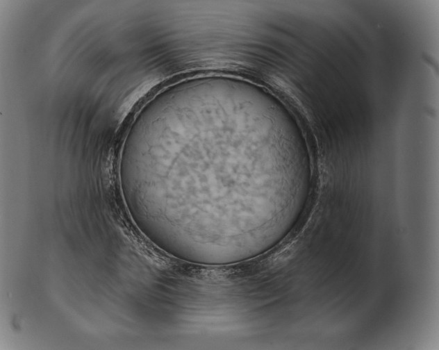 X0000101210875200807111031