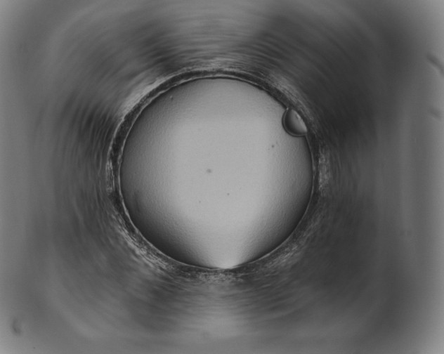 X0000101210876200807111031