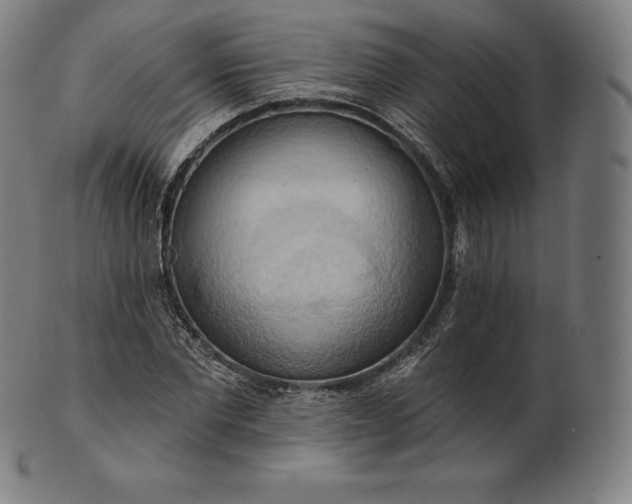 X0000101210877200807111031