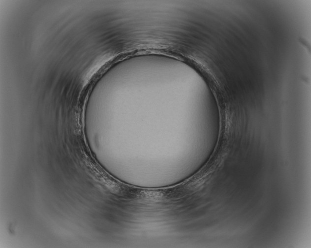 X0000101210878200807111031