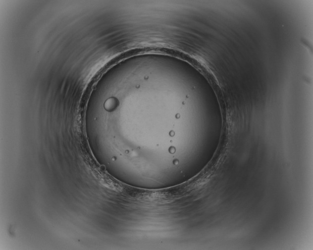 X0000101210879200807111030