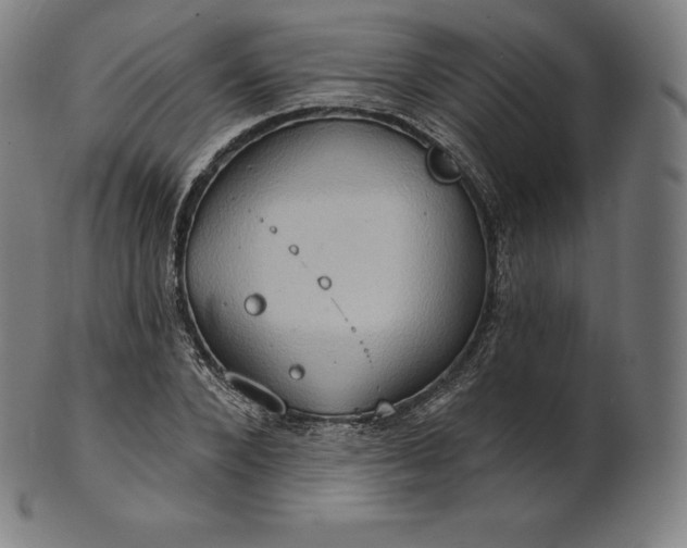 X0000101210880200807111030