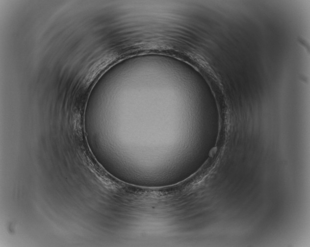 X0000101210881200807111030