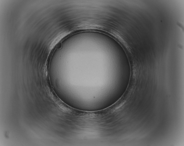 X0000101210885200807111030