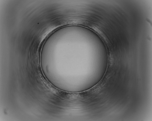 X0000101210886200807111030