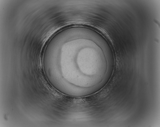 X0000101210887200807111030