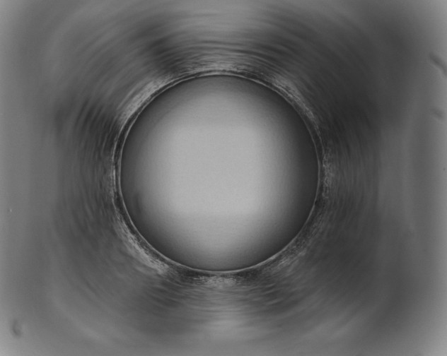 X0000101210890200807111030