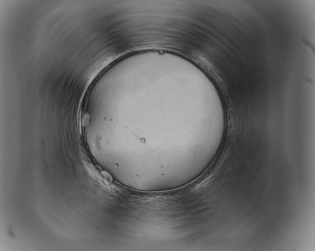 X0000101210892200807111030