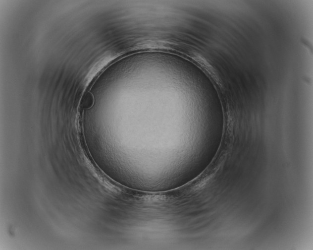 X0000101210893200807111030