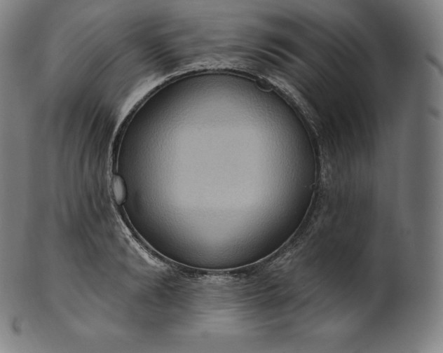 X0000101210894200807111030