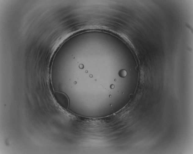 X0000101210895200807111030