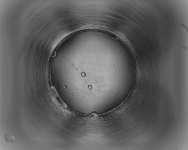 X0000101210896200807111030