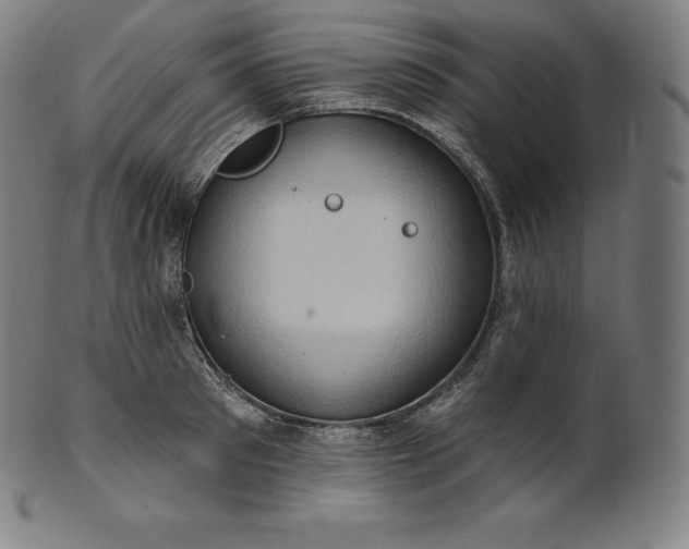 X0000101210897200807111030