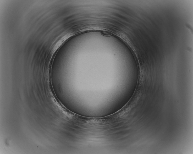 X0000101210898200807111030