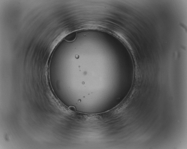 X0000101210899200807111030