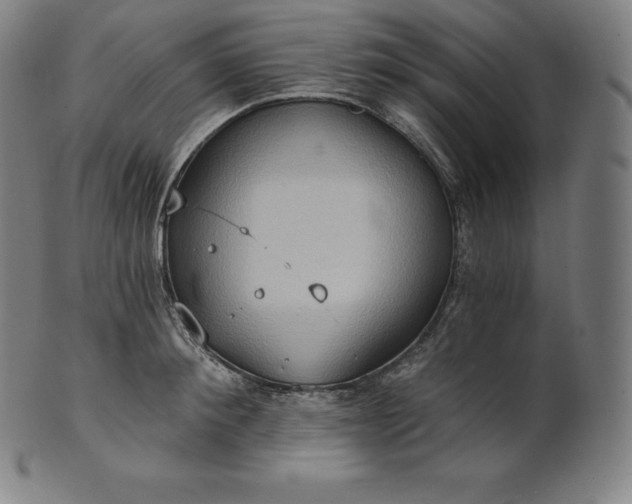 X0000101210900200807111030