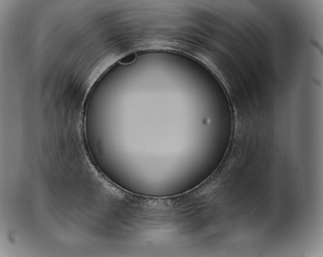 X0000101210901200807111030