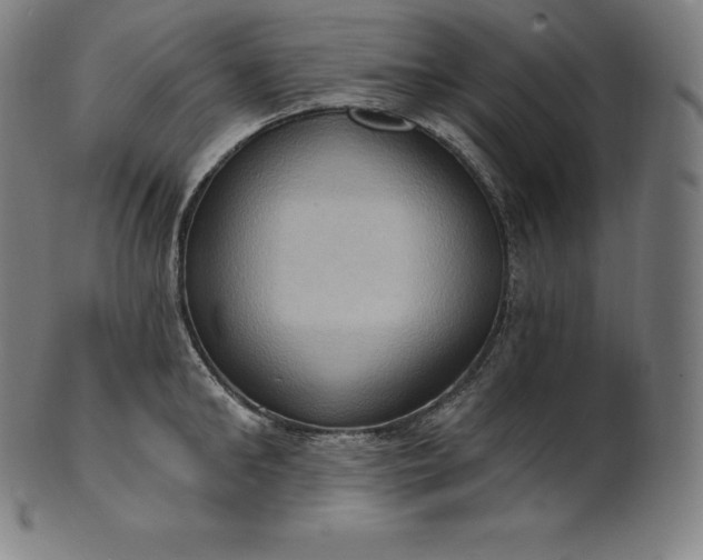 X0000101210902200807111030