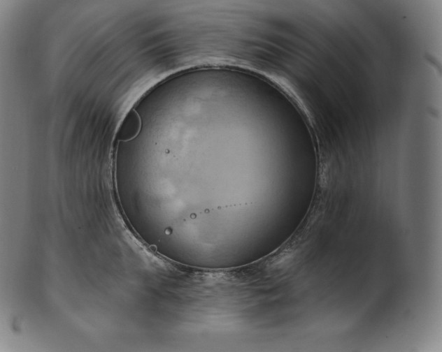 X0000101210903200807111030