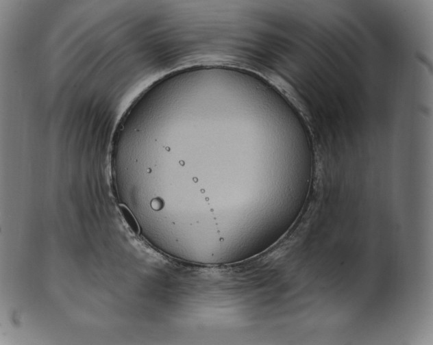 X0000101210904200807111030