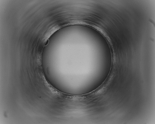 X0000101210905200807111030