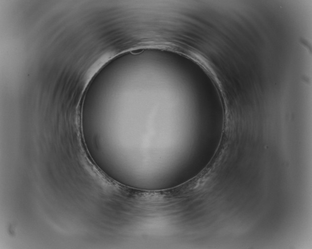 X0000101210907200807111030