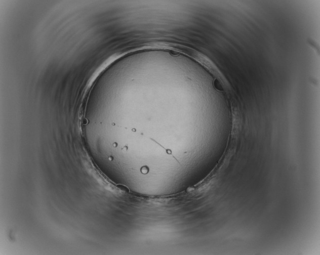 X0000101210908200807111030