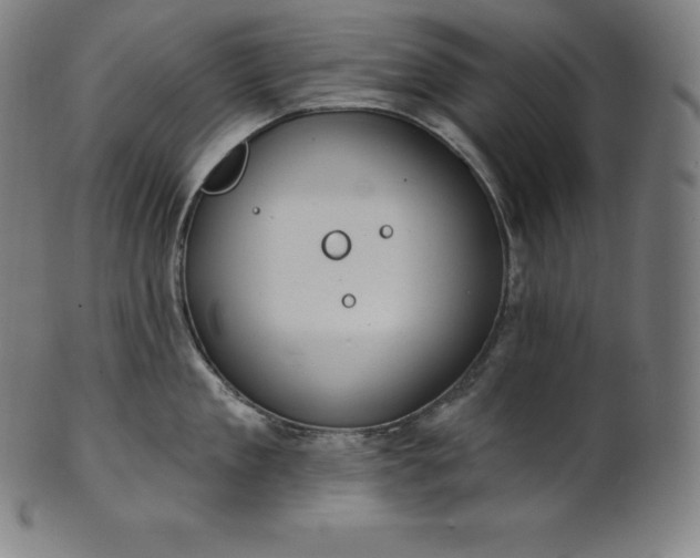 X0000101210909200807111030