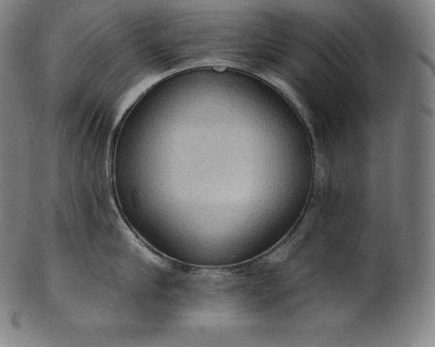 X0000101210910200807111030