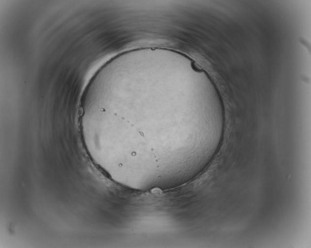 X0000101210912200807111030