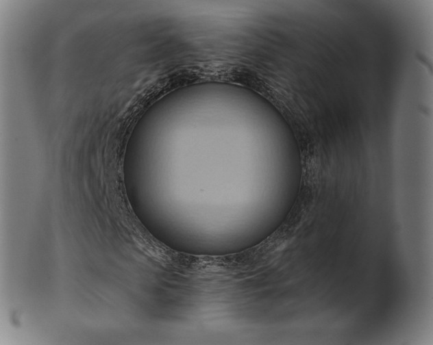 X0000101210913200807111029