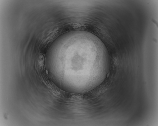 X0000101210914200807111029