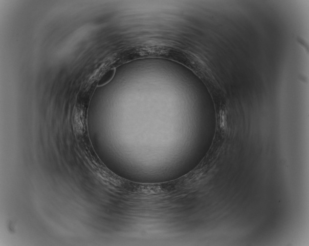 X0000101210915200807111029