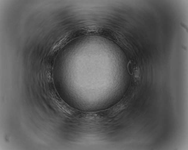 X0000101210916200807111029