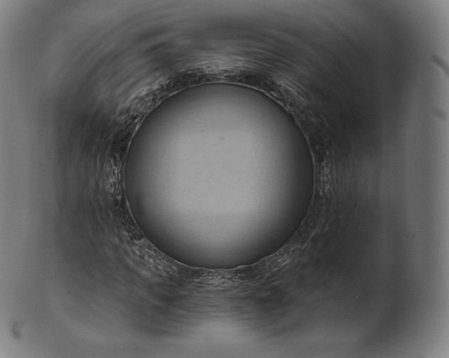 X0000101210917200807111029