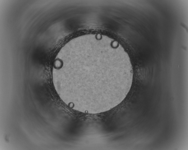 X0000101210918200807111029