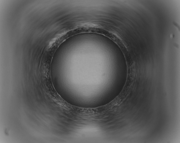 X0000101210919200807111029