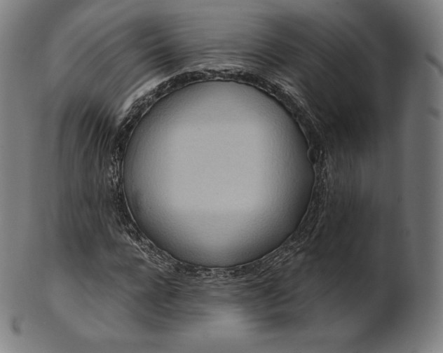 X0000101210920200807111029