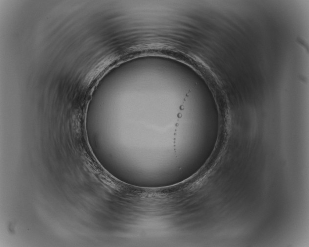 X0000101210921200807111029