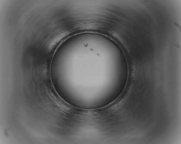 X0000101210922200807111029