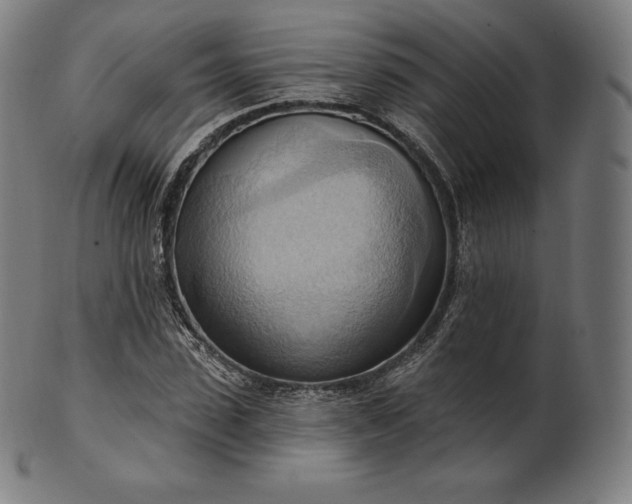 X0000101210923200807111029