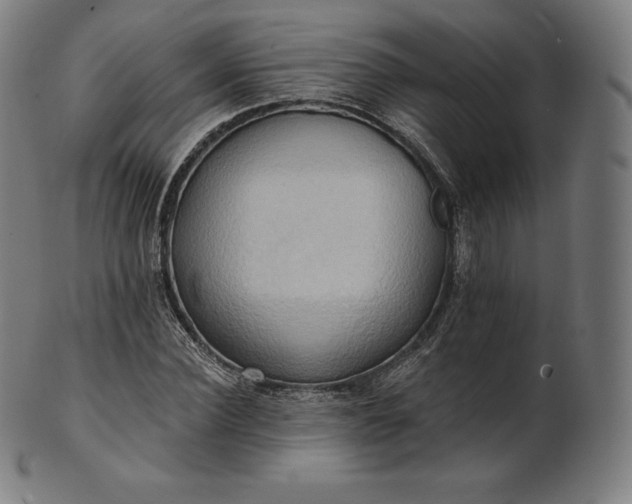 X0000101210924200807111029