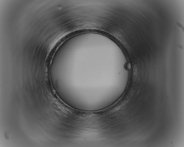 X0000101210926200807111029