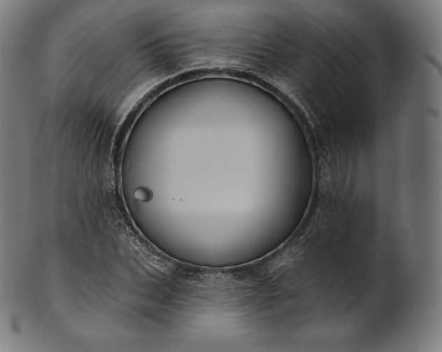 X0000101210927200807111030