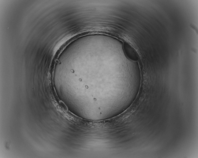 X0000101210928200807111030