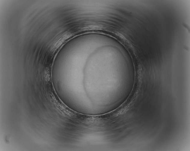 X0000101210929200807111030