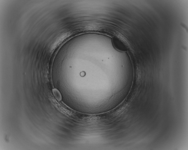 X0000101210930200807111030